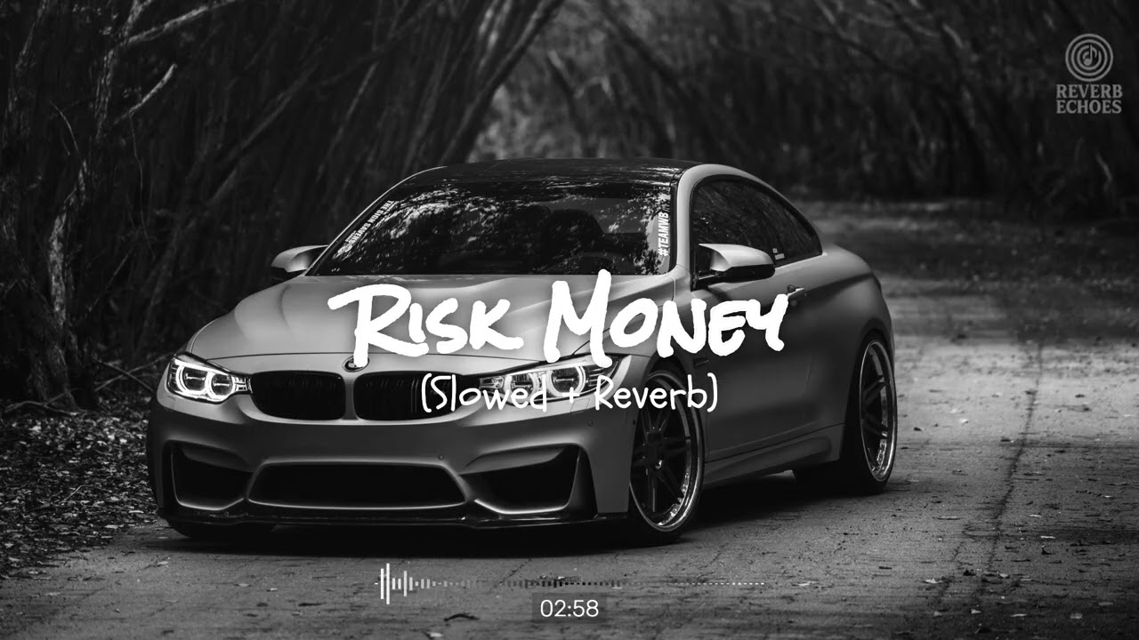 Risk Money (Slowed + Reverb) | Vibe Deeper 💸 | Reverb Echoes