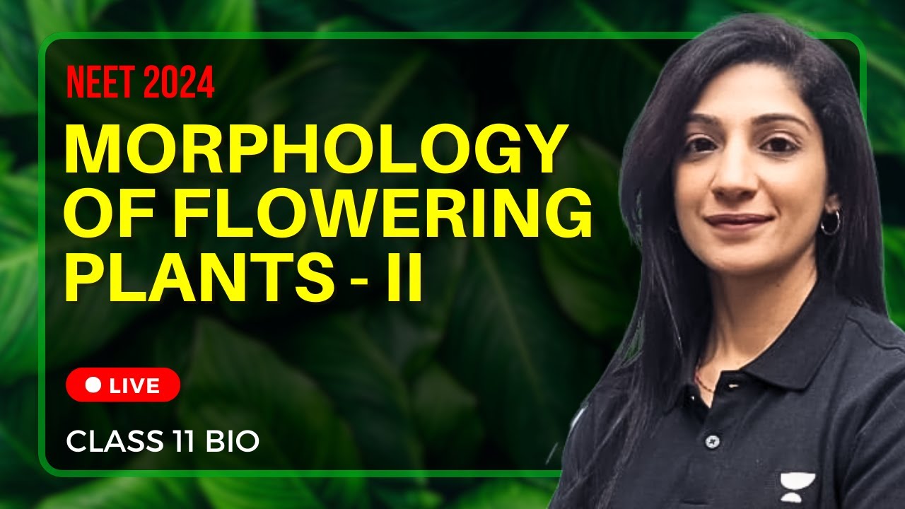 Morphology of Flowering Plants Part-2 | Root, Stem, Leaf | One Shot | NEET 2024 | Pankhuri Ma'am