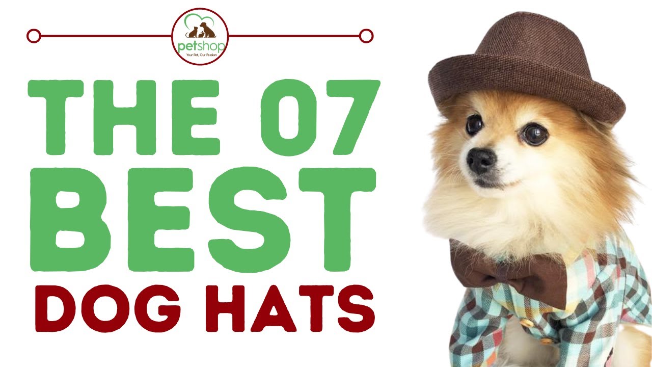 The Best Dog Hats