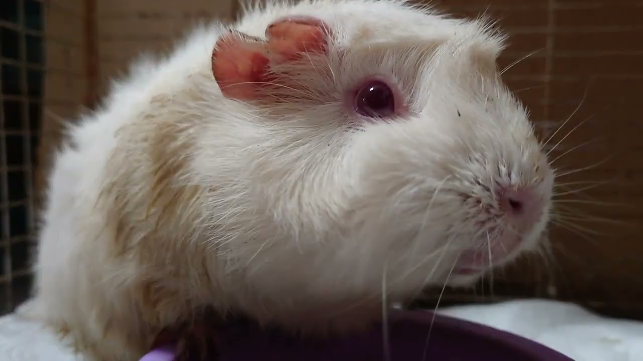 吃午餐