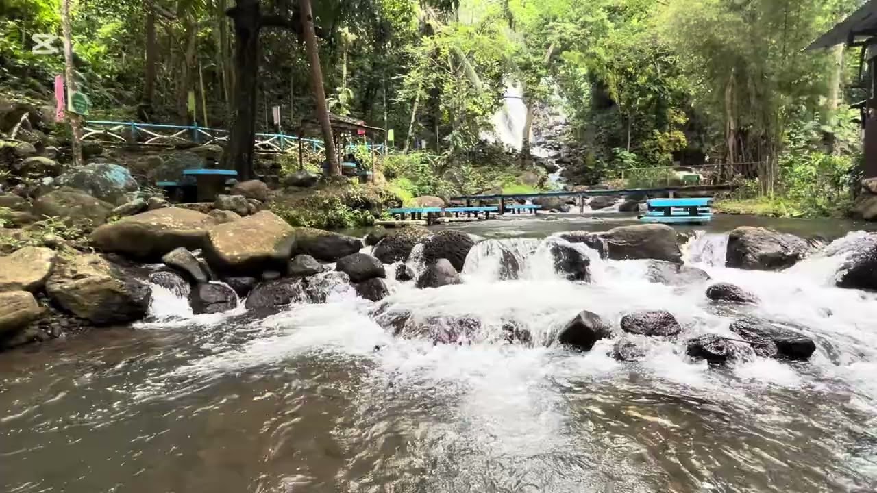 MIMBALOT FALLS 2026