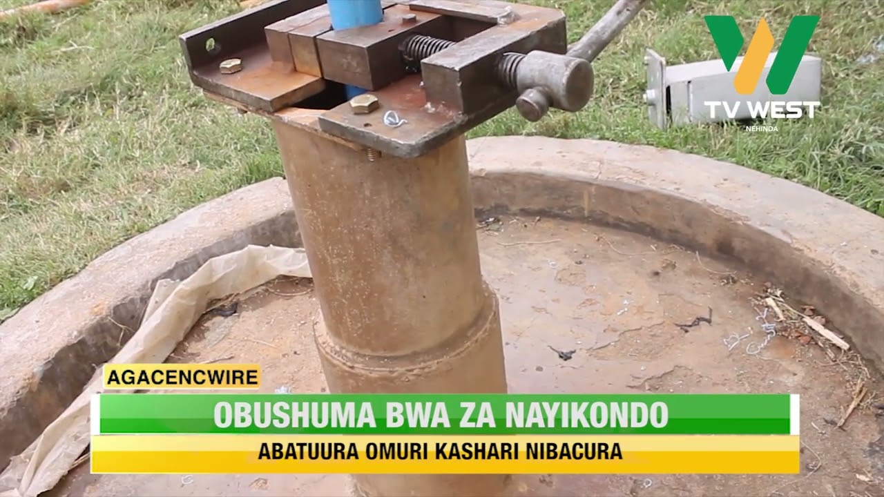 AGACENCWIRE: Abatuura omuri Kashari nibacura ahabw'obushuma bwa nayikondo.
