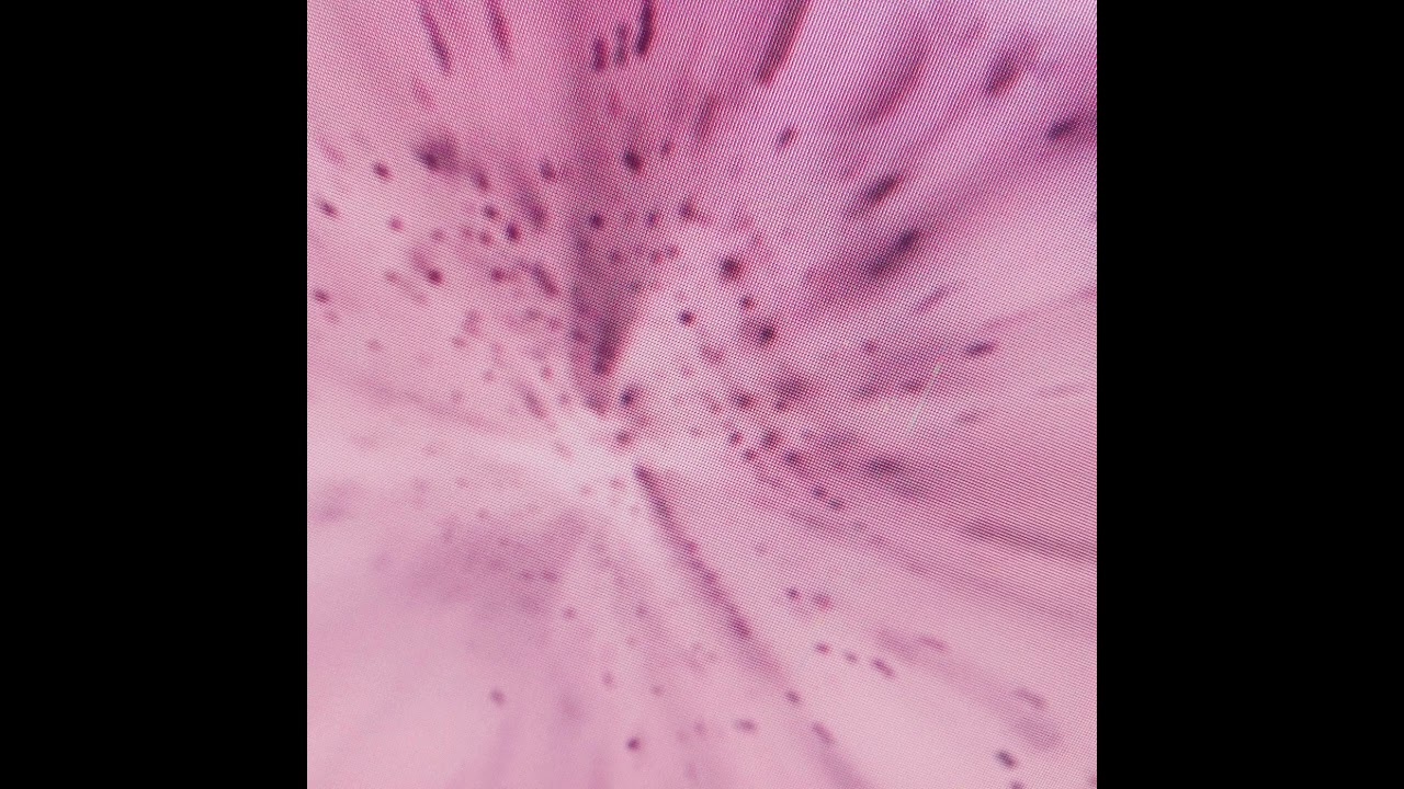 Impressions on Nature