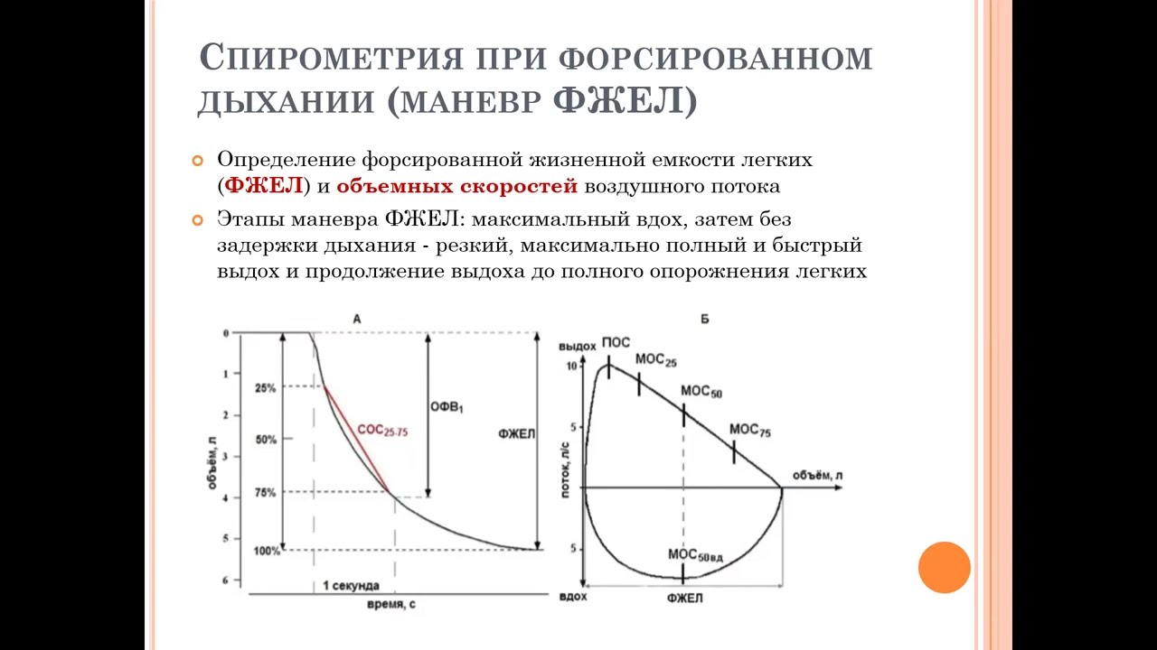 Киреева А.Ю. "Спирометрия" Часть 1 (04.10.2023)