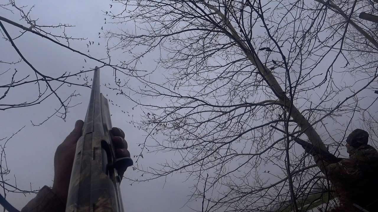 Шикарное открытие охоты на гуся. Столько гуся я еще не видел A magnificent opening of the goose hunt