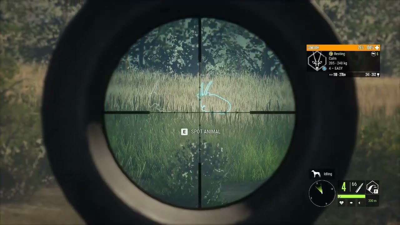 Lion hunting and best area for it!