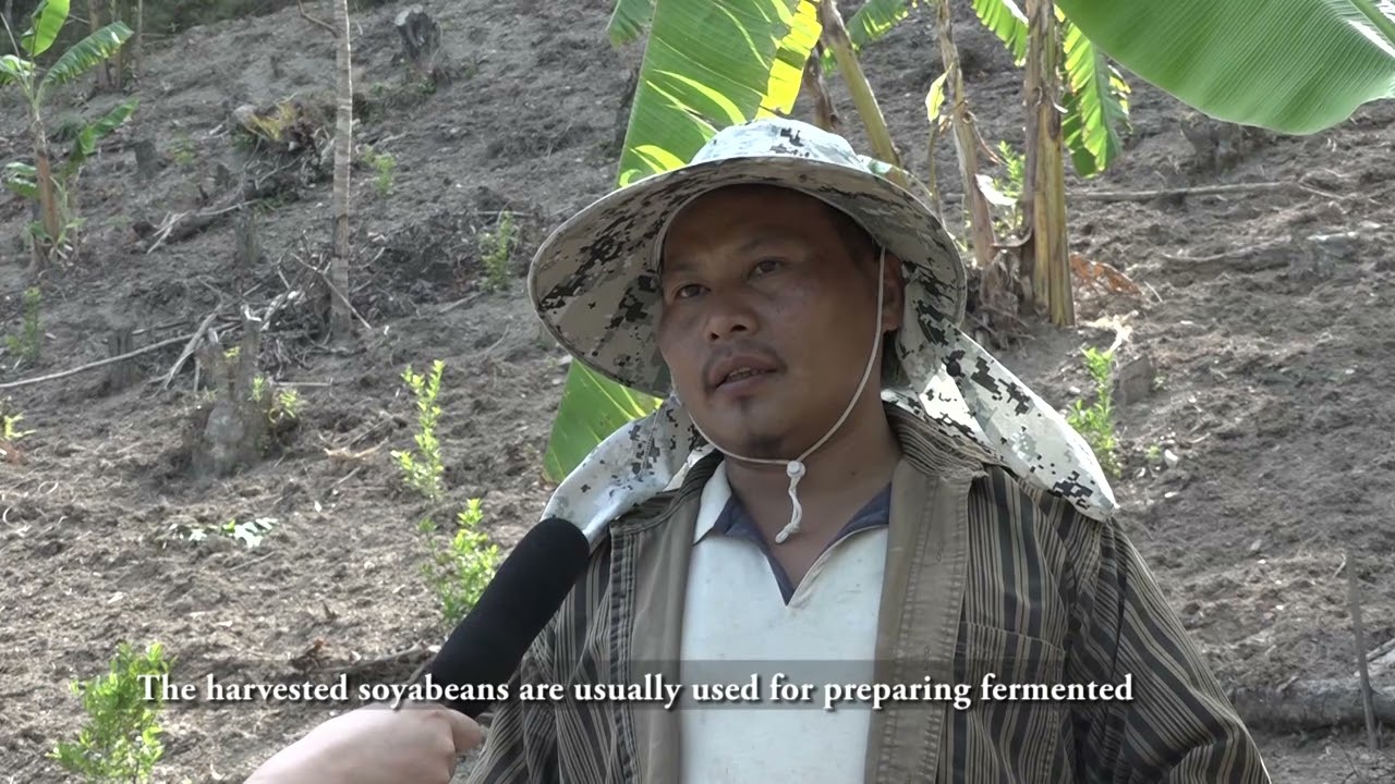 'Sustainable farming practices of Rüsoma village' by Grace Khuvung
