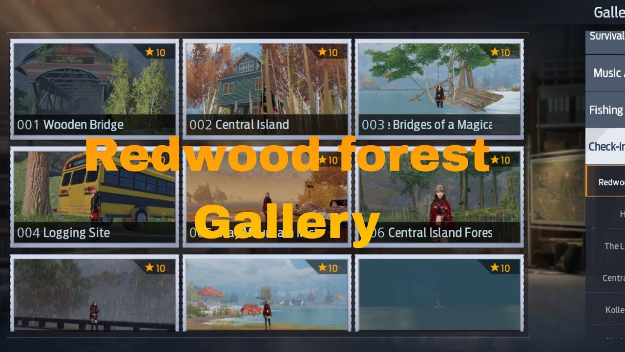 Undawn redwood forest gallery