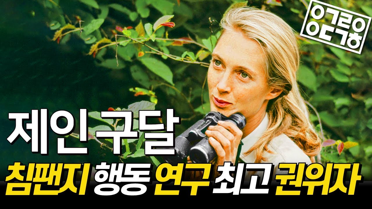 침팬지 행동 연구 세계 최고 권위자, '제인 구달'을 아십니까?