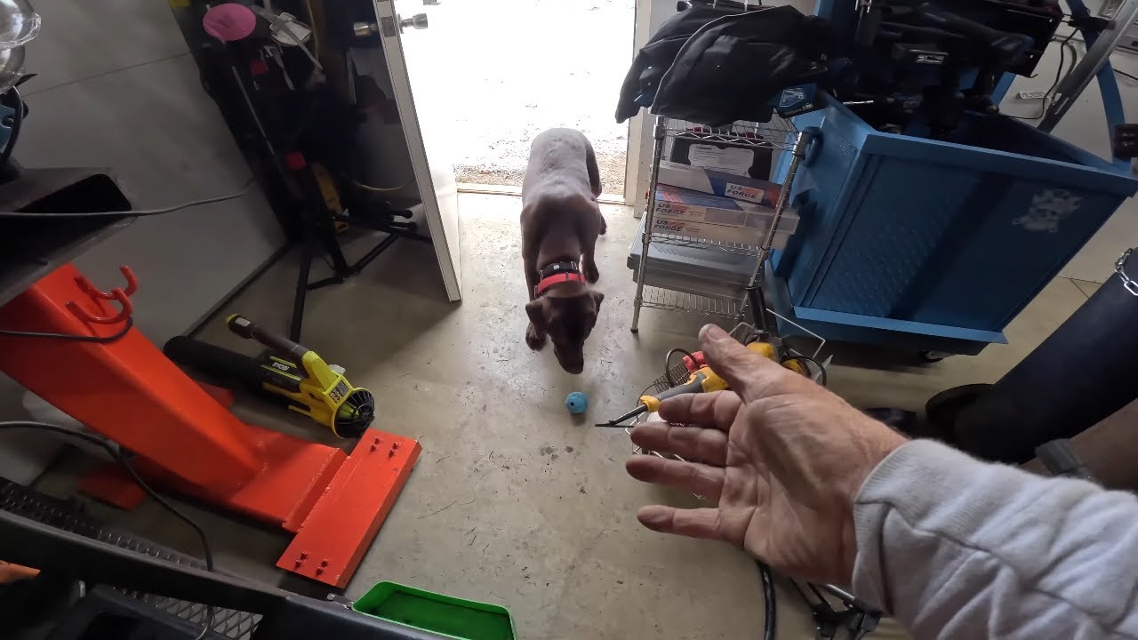 I LOVE MY DOG and MY DOG LOVES ME BACK ~ Welding Project?