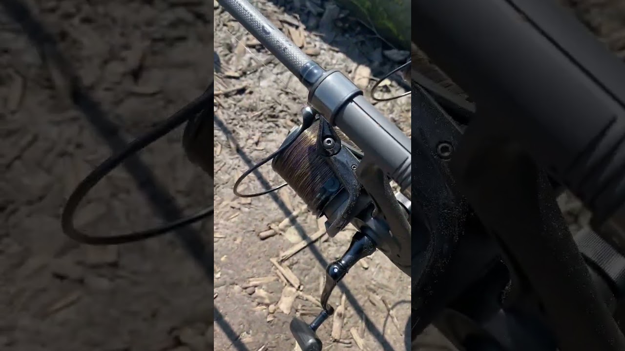 RX+ with FOX XC 14000 carp run #carprun #thatsabite #carpbite #carpfishing2023 #deeperfishoff