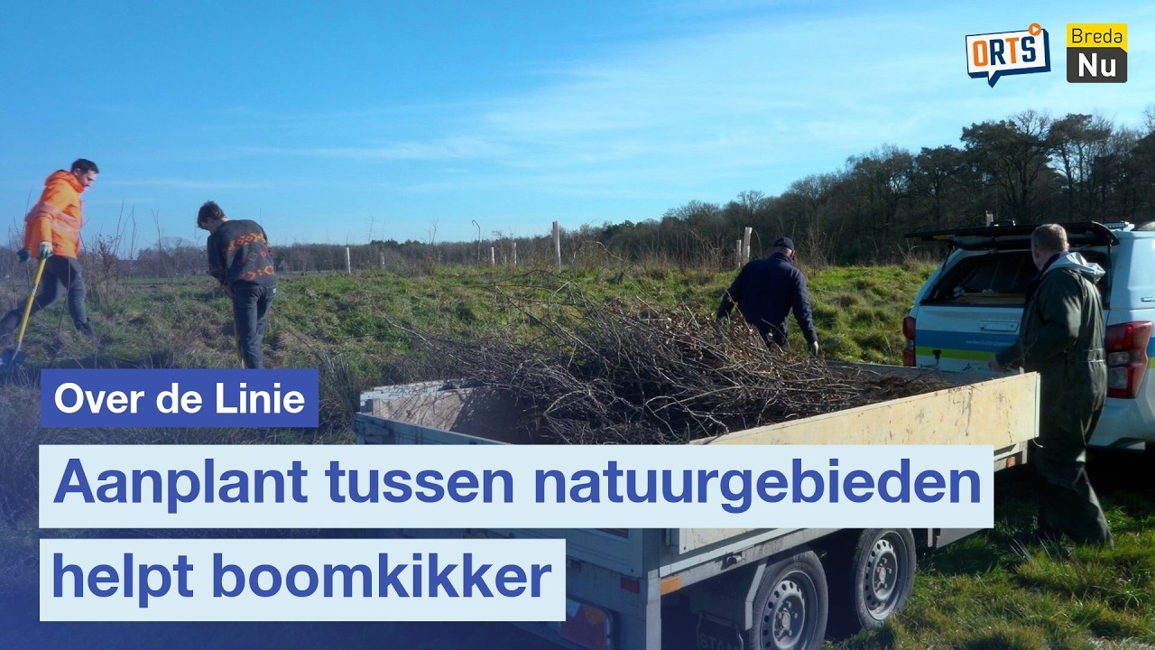 Aanplant tussen natuurgebieden helpt boomkikker | Over de Linie