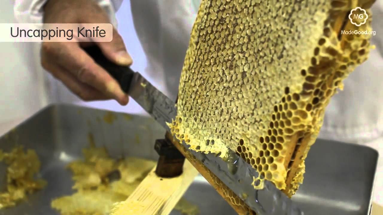 Beekeeping - Equipment