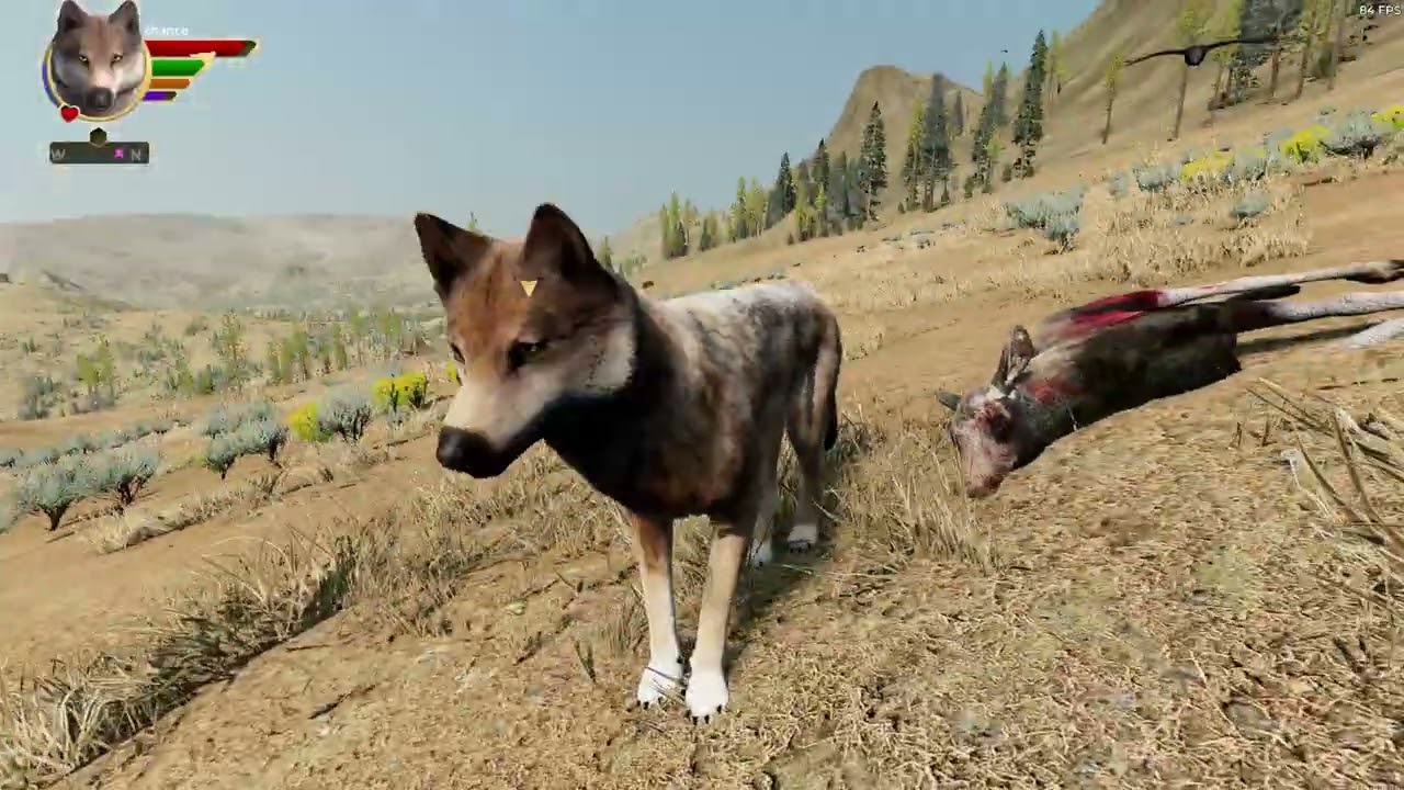 WolfQuest chance dispersal episode 1