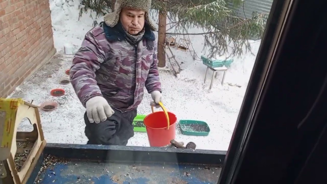 Последний день зимы в вольном диком зоопарке за окном 