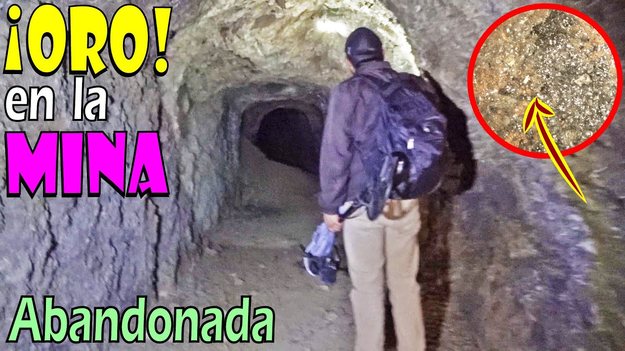 ¡Encuentro ¡ORO! en MINAS ABANDONADAS de México! Especial Vlad DetectoRex