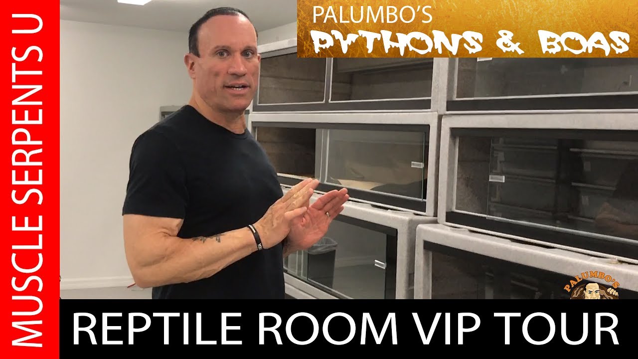 Palumbo's Pythons & Boas New Snake Facility Tour
