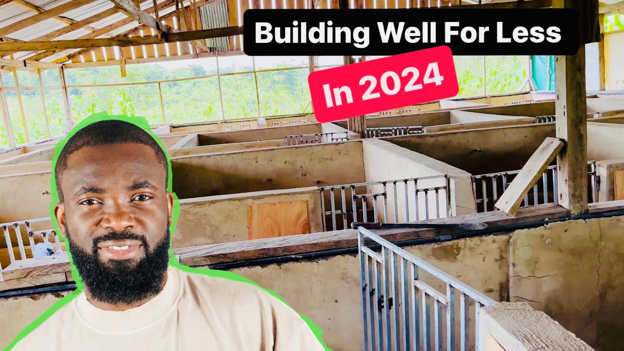 The Cost of Building a Modern No-Smell Pig Pen in 2024 / Simple, Secure, Cost Effective