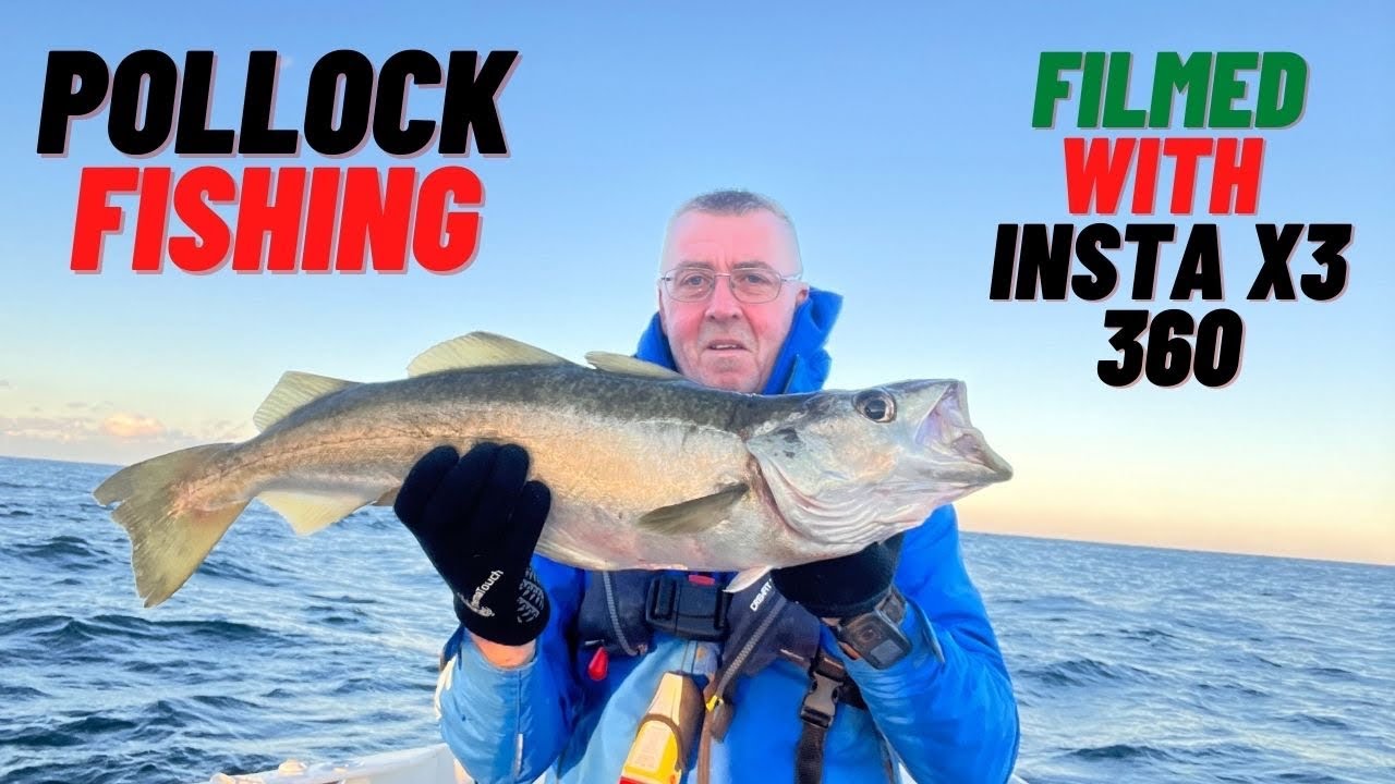 pollock fishing  [uk boat fishing]