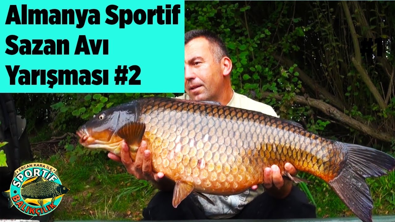 Almanya Sportif Sazan Avı Yarışması 2 Sportif Balıkçılık Yaban Tv