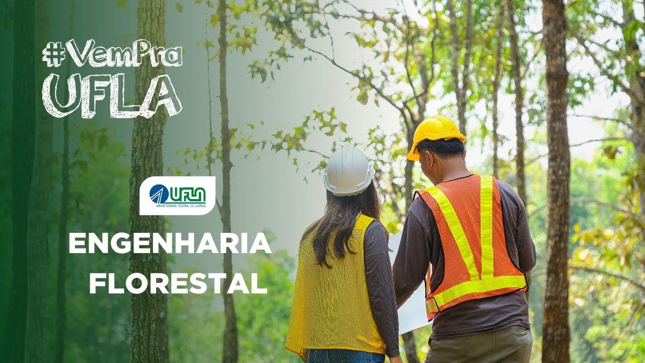 Engenharia Florestal na UFLA