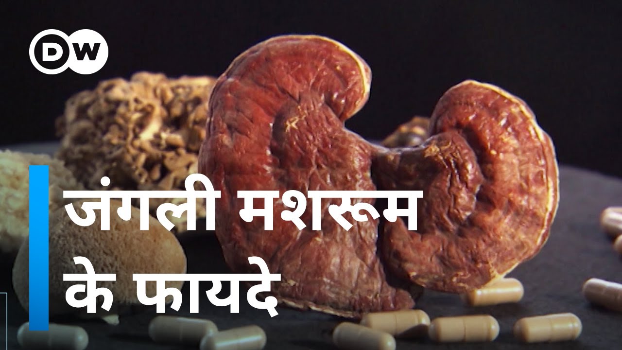 जंगली मशरूम में छिपा गुणों का खजाना [The Benefits of Medicinal Mushrooms]