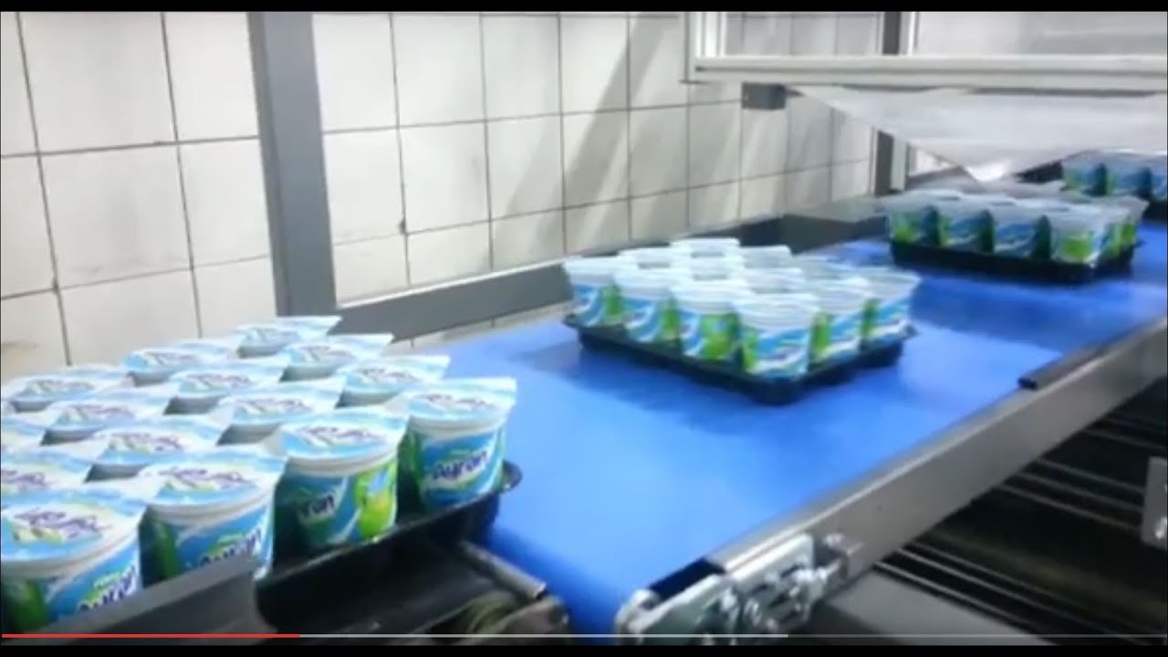 Dairy Drink Packaging Machines | PE 60 Motion Shrink Wrapping Machine | Ayran Paketleme Makinesi