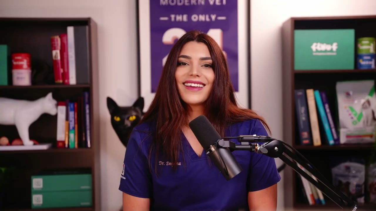 Veterinary Interview Presentation | Dr. Despina Hleiss | Modern Vet Dubai