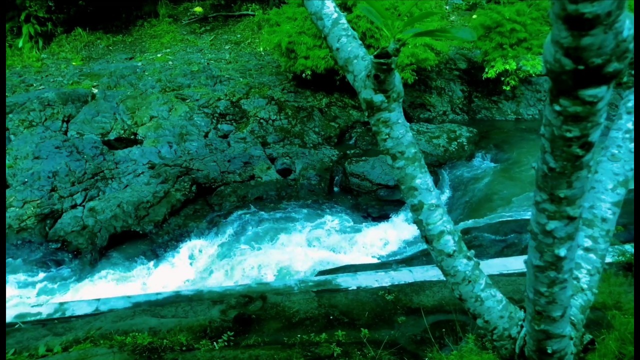 Serene River Ambience ASMR Nature Sounds White Noise for Deep Relaxation