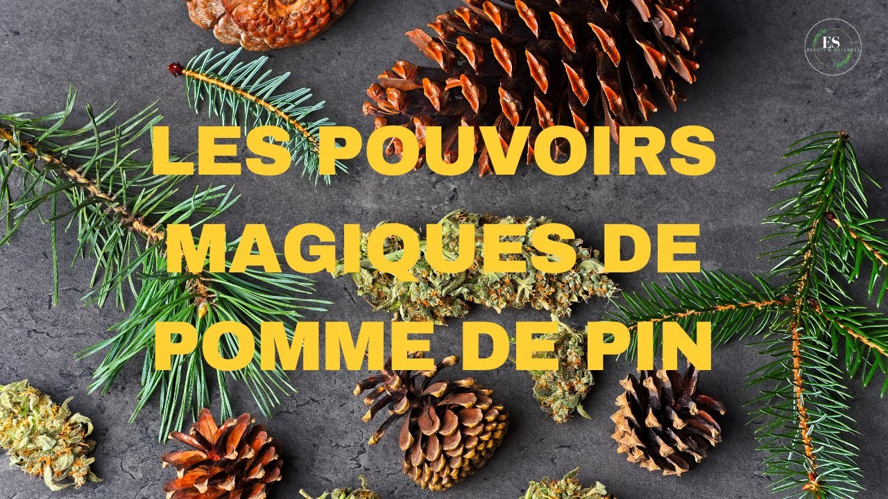 Les pouvoirs magiques de pomme de pin!!#nature#sante#spiritualite#beaute#conseils#motivation#forets