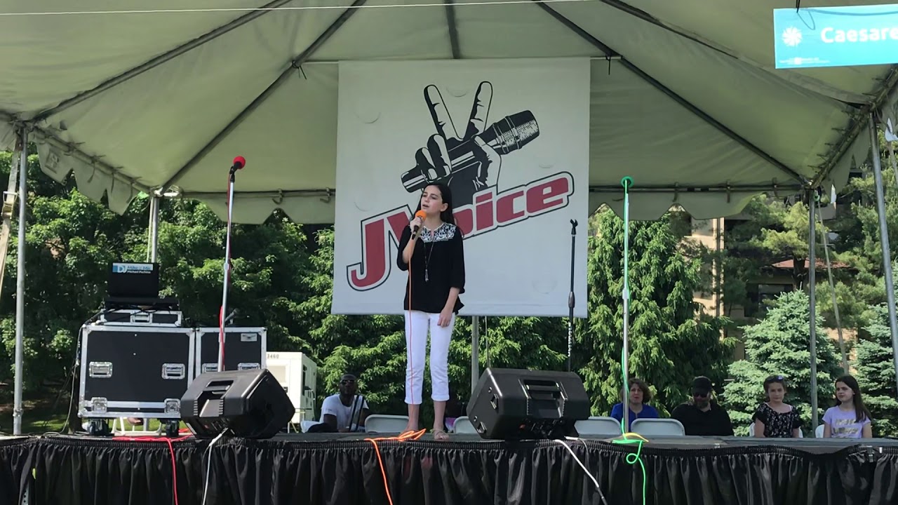 @IsraelFest By Andy Blumenthal