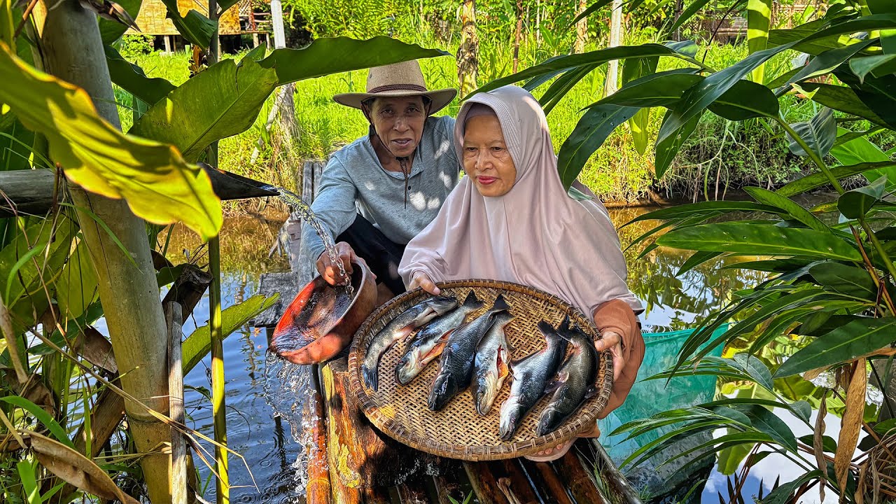 Memetik Tomat Hijau | Masak Asem Asem Patin, Tempe Garit, Kue Pegu, Kluban Selada, Sambal Cabe Ijo