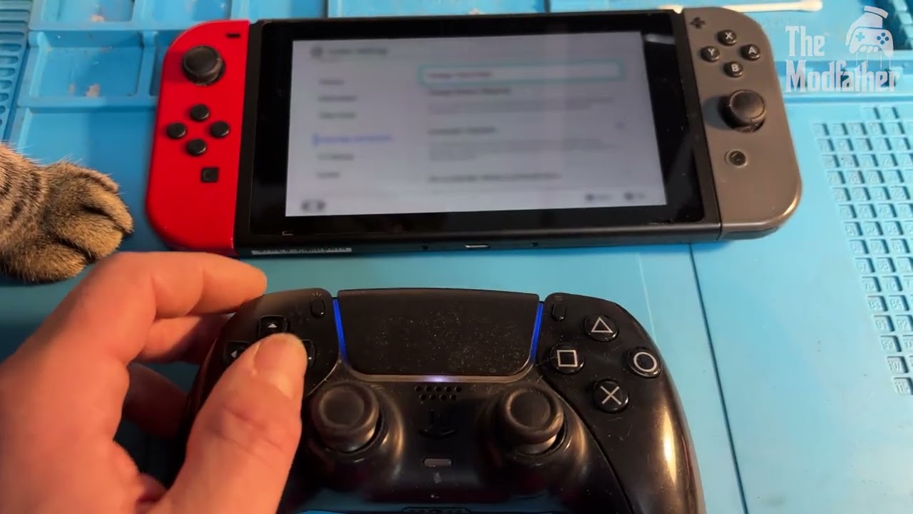 A Modded Switch in 60 Seconds
