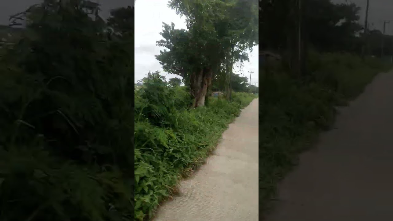 Perjalanan menuju lokasi. Yuser. Yang mau service mesin cuci 2 tabung. Rusak dinamo 