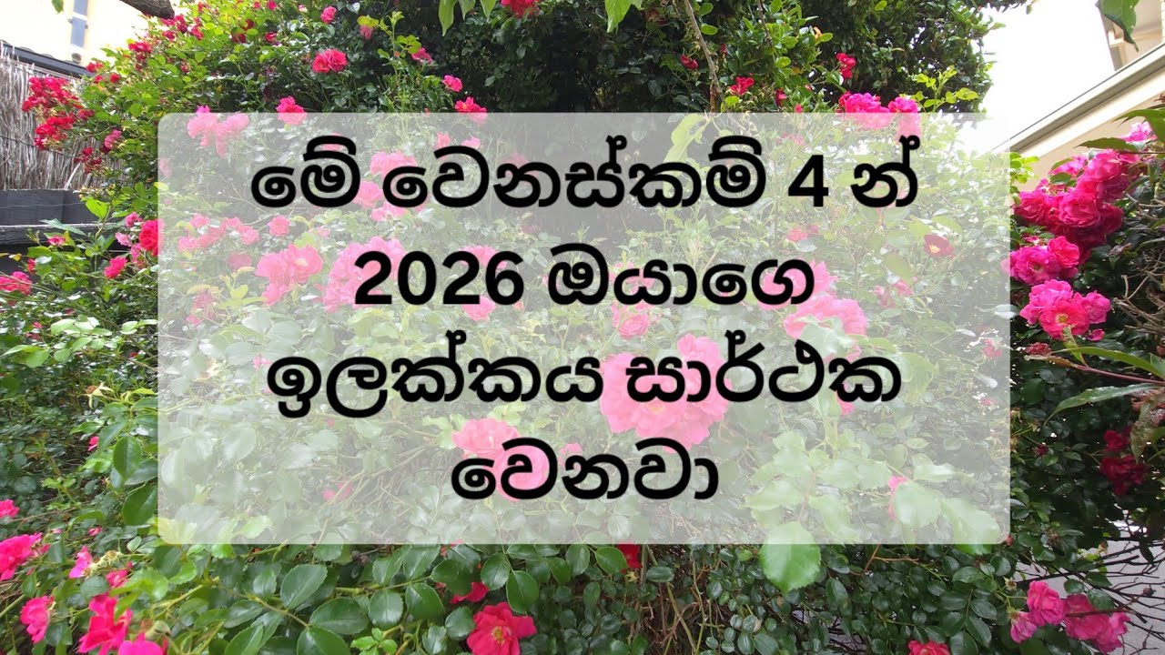 4 steps to success in 2026 l හැම දෙයක් තුලින්ම නැගිටිමු