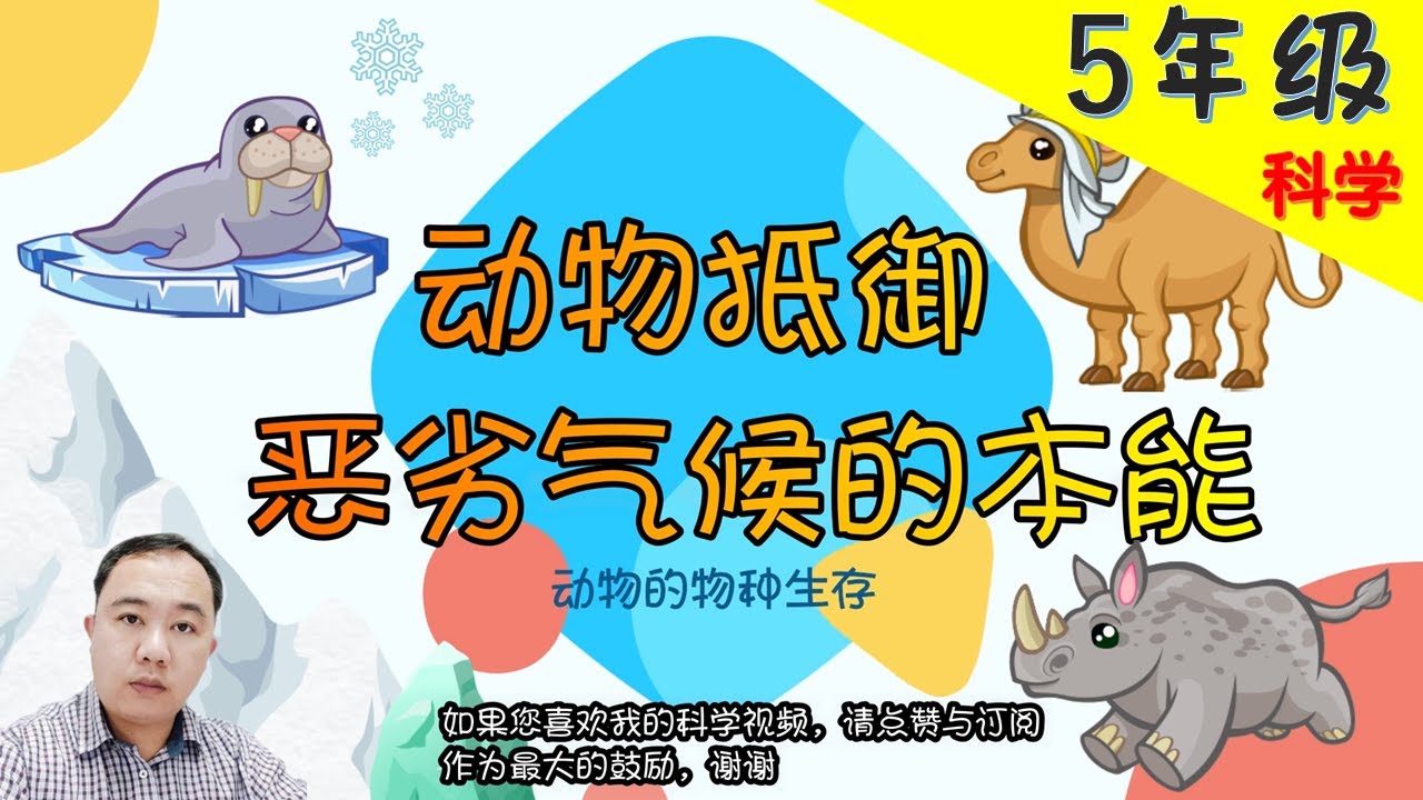 【动物抵御恶劣气候的本能】| 【动物  PART2/4 】5年级 | KSSR  | TSLAU