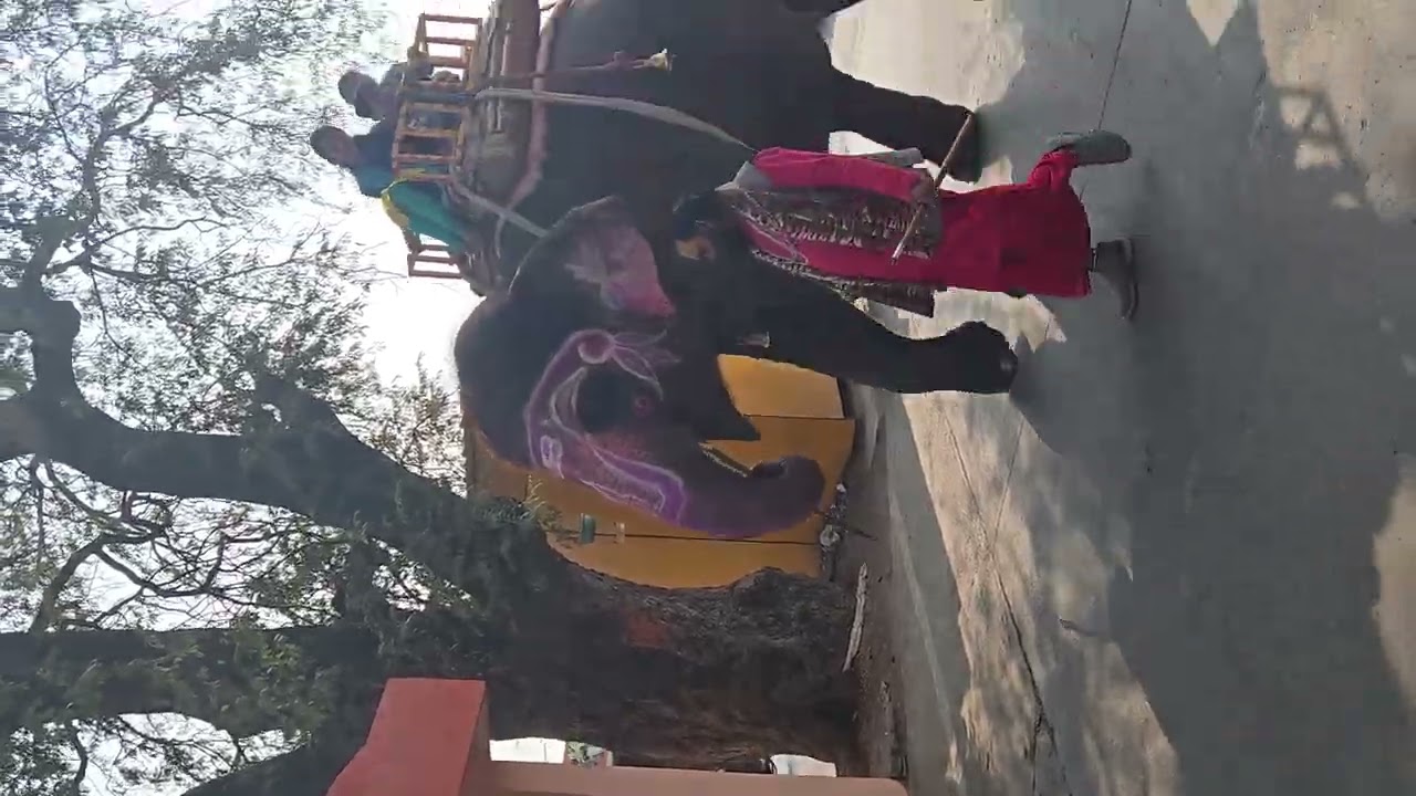 Hathi ke savari