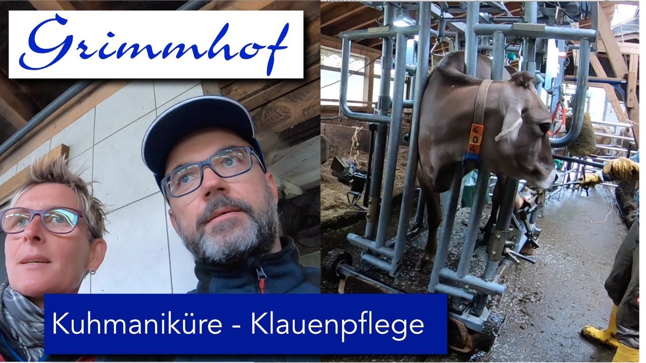 FarmVLOG#12 -Maniküre bei unseren Kühen-Klauenpflege