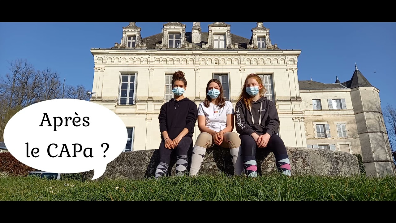 Présentation du CAPa Palefrenier soigneur du Lycée Saint Cyran