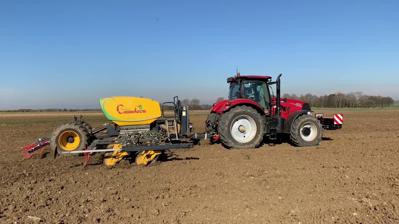 Early Spring Sowing. To roll or not to roll?