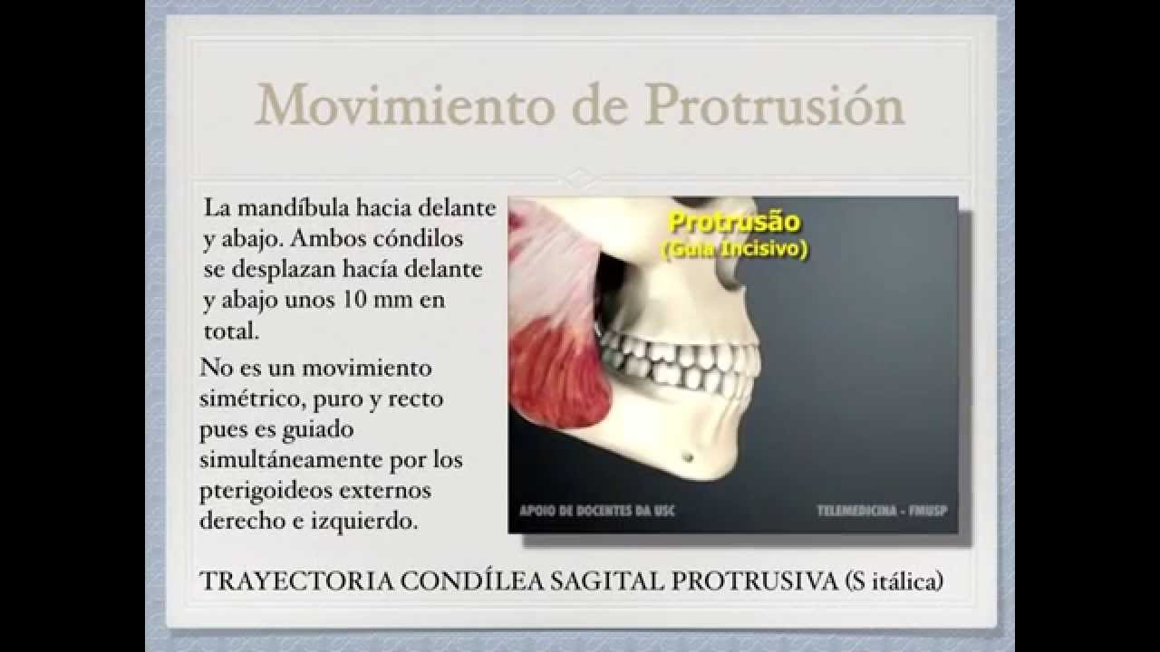 Movimientos mandibulares
