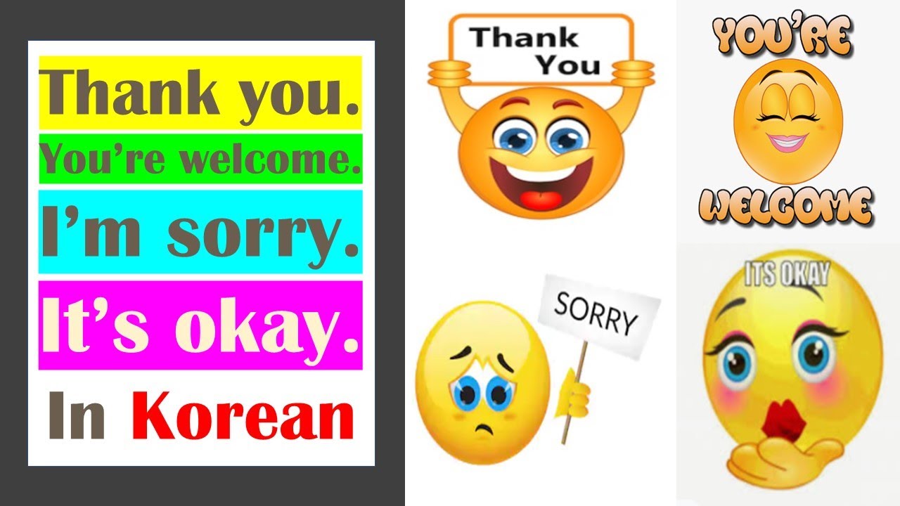 Thank you😍 & Sorry😭 in Korean 🇰🇷