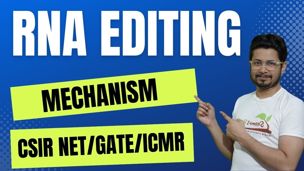 RNA editing | mRNA editing mechanism | eukaryotic rna processing | c to u