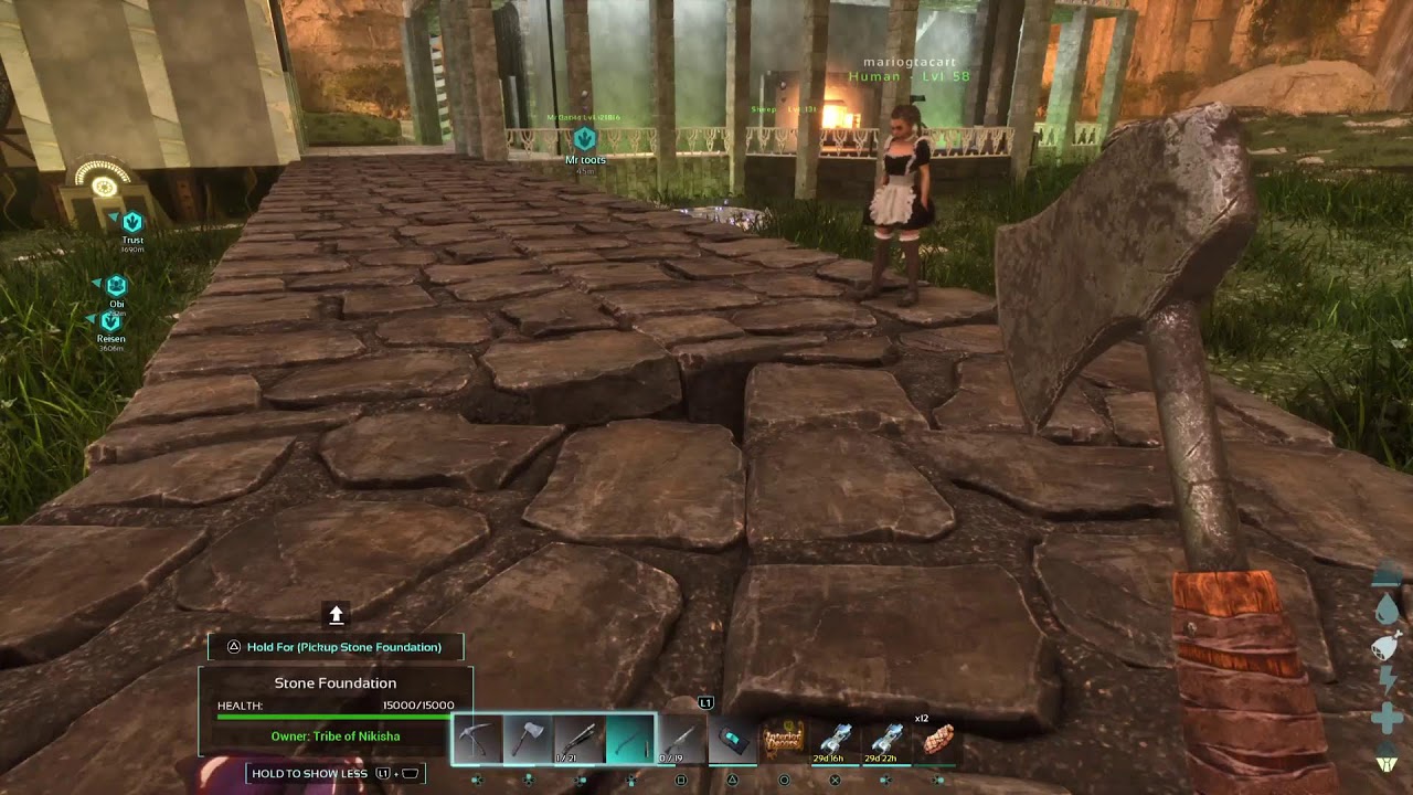 Ark with friends