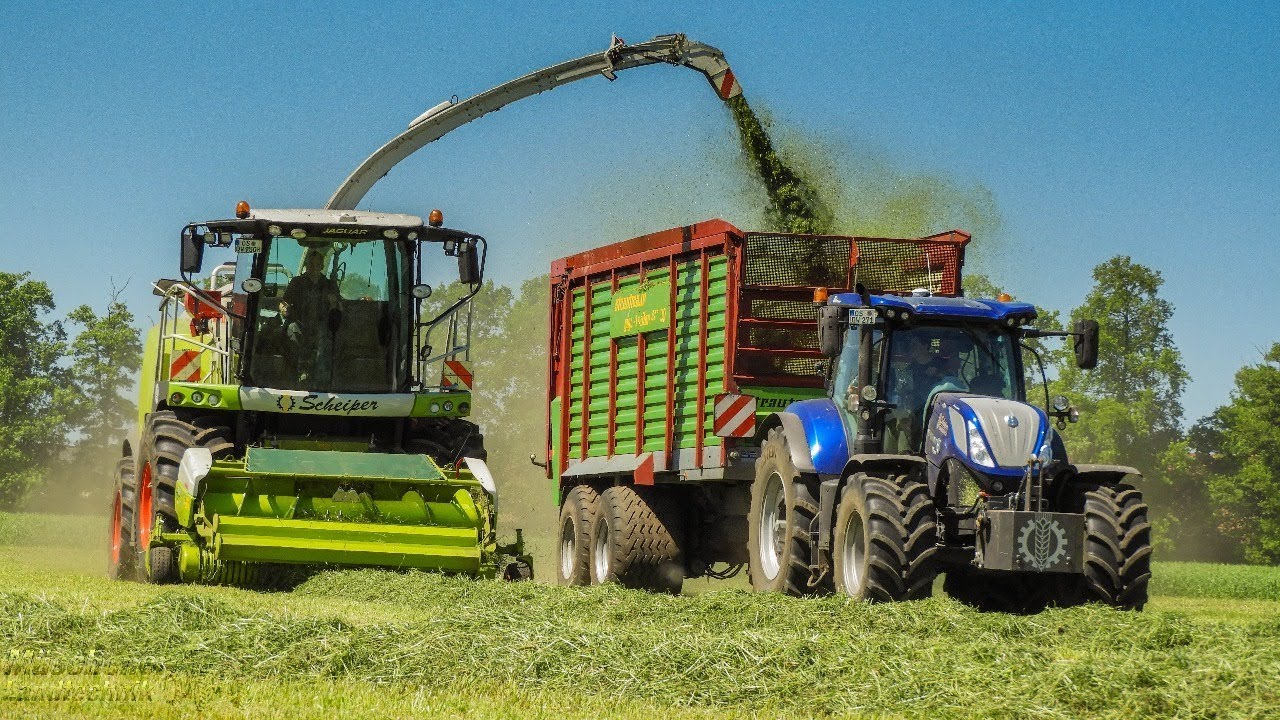 1. Schnitt in 2018│Claas│New Holland│Strautmann│JCB│Scheiper Agrarservice