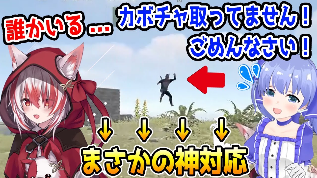拠点周辺にカボチャを取りに来たちーちゃんに神対応の秋雪こはく【勇気ちひろ/VEE/にじさんじ/切り抜き/RUST】