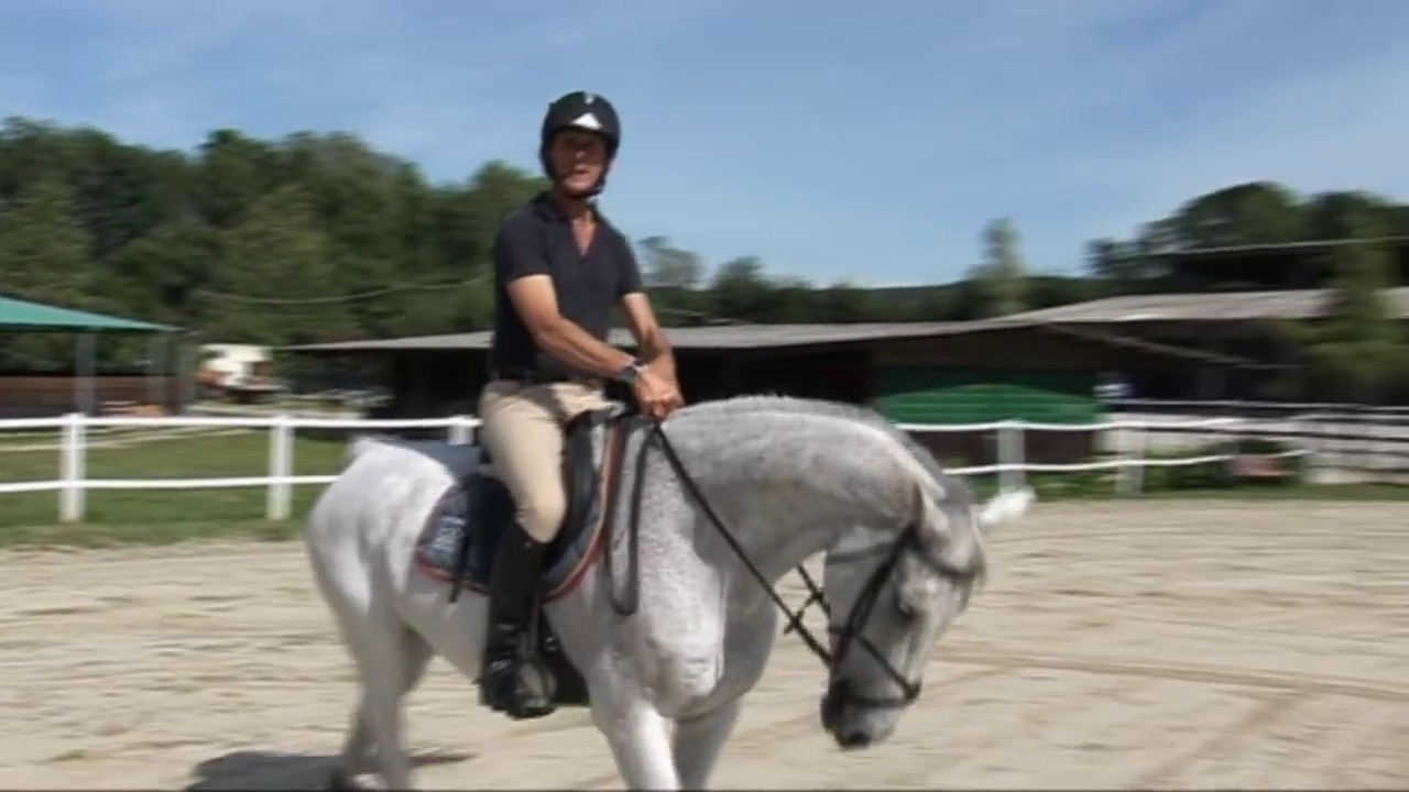 Distanze: la regolarità del galoppo - Lezioni di equitazione: Salto ostacoli