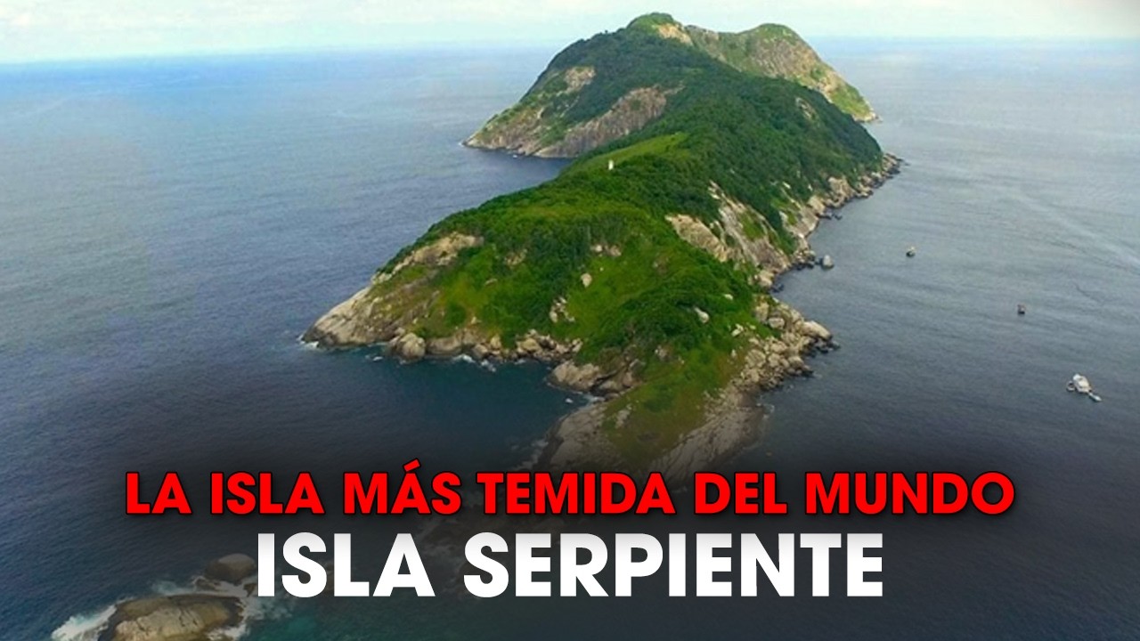 Cosas Que No Sab&iacute;as De La Isla Serpiente Brasil