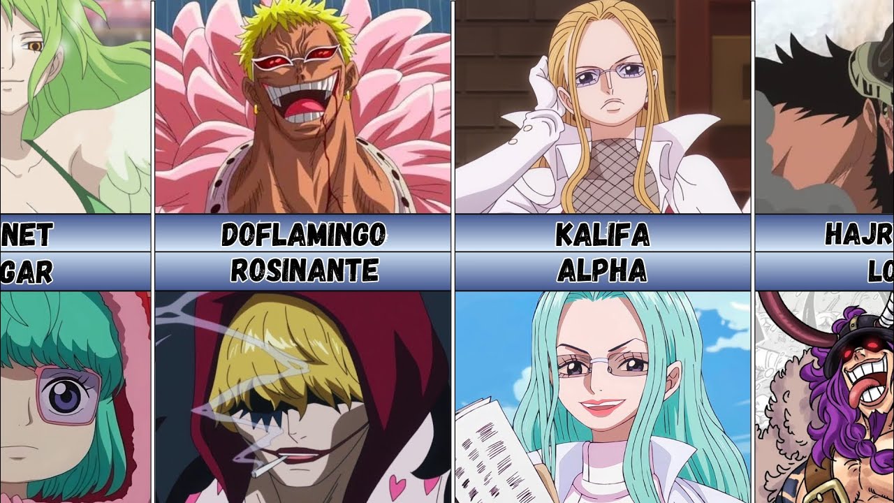 One Piece Characters and Their Siblings