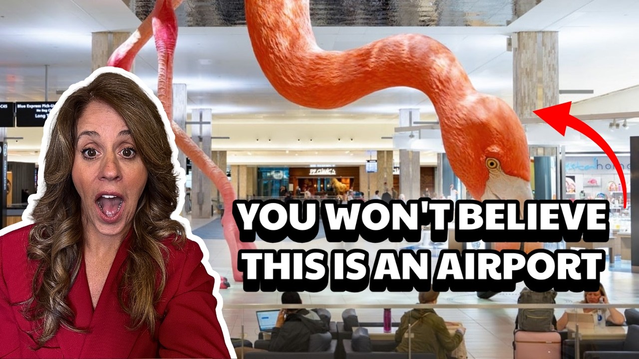 Don't Move to Tampa Before Watching This Airport Guide